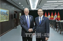 APEC 2017: Chủ tịch nước Trần Đại Quang gặp song phương Tổng thống Peru 